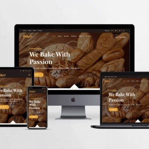 small business website design services case studies-4